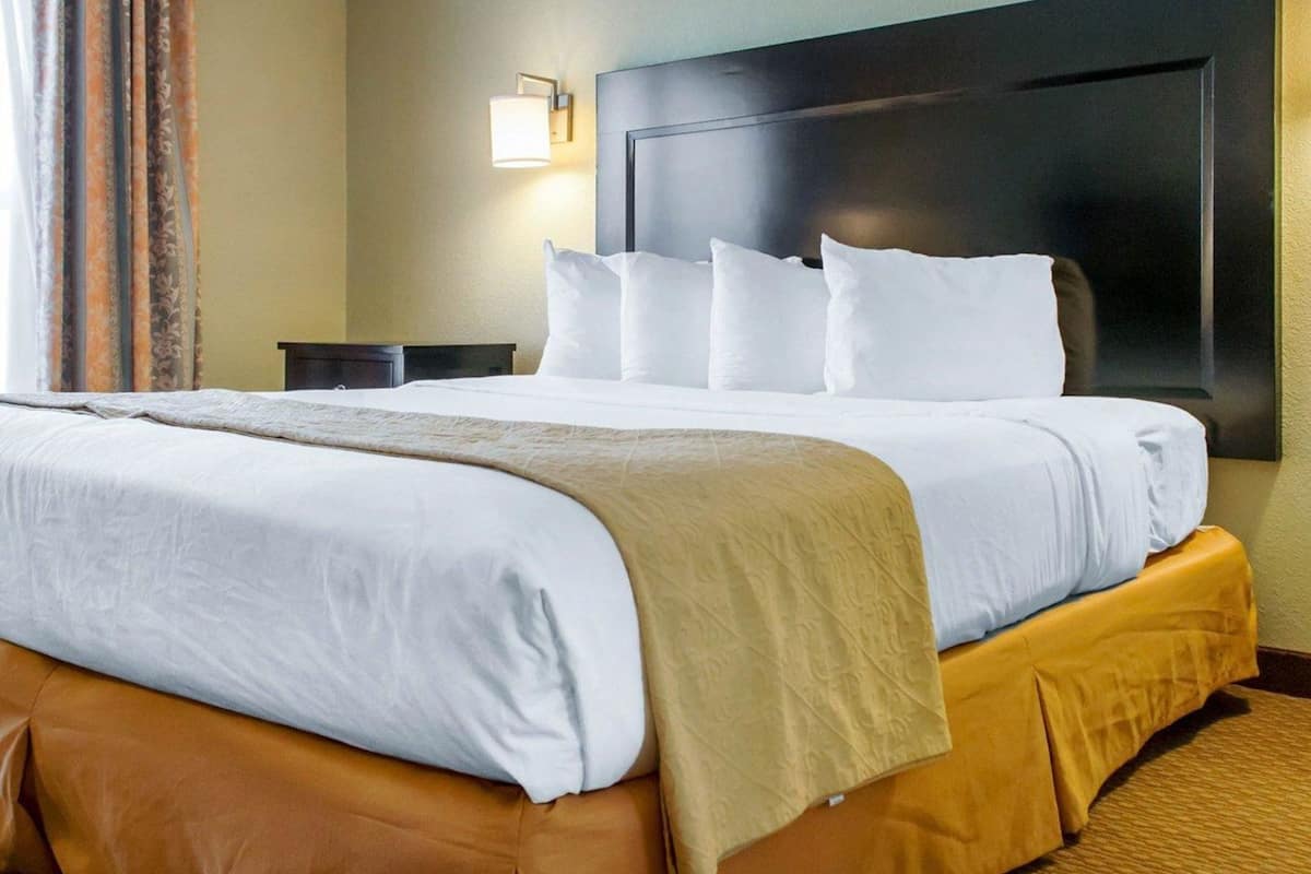 Premium bedding, down comforters, iron/ironing board, free WiFi