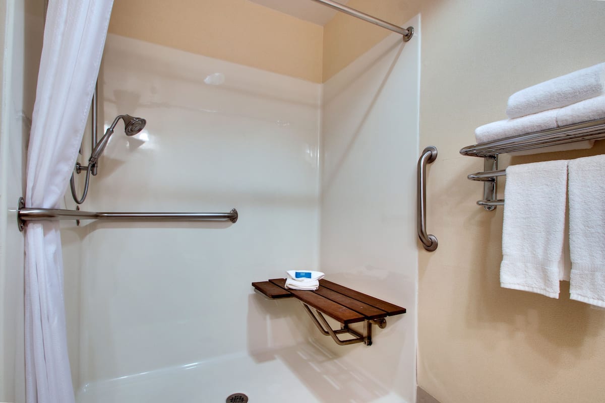 shower, free toiletries, hair dryer, towels