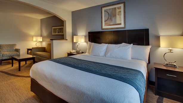 Habitación de hotel con una cama grande, dos mesitas de noche con lámparas, una silla y un escritorio.