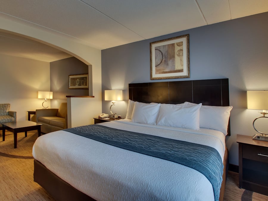 Suite Supérieure, 1 trÚs grand lit (Non-Smoking Standard Suite)