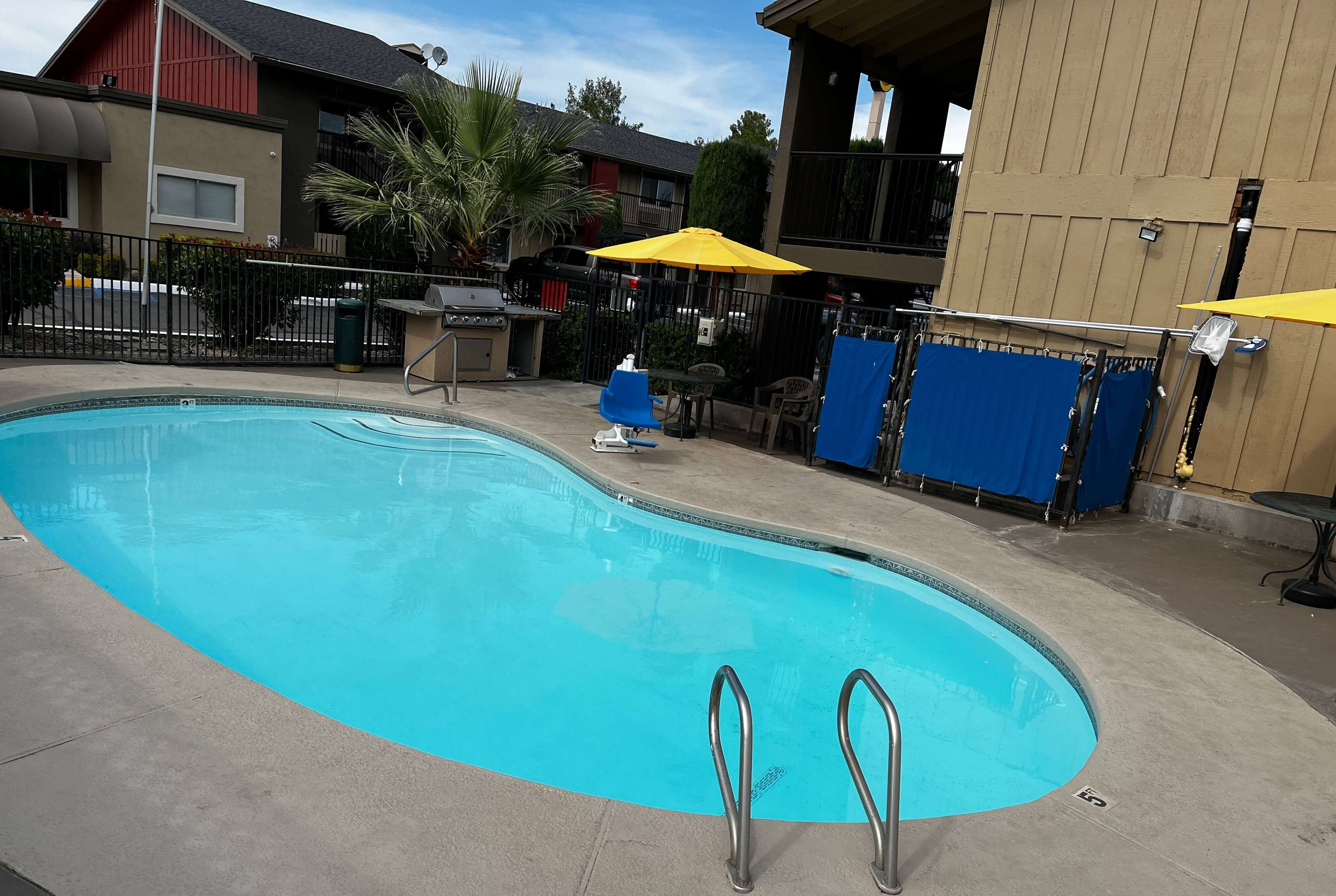 A swimming pool with metal ladders, surrounded by a fence, with a palm tree and outdoor furniture.