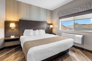 Standard Room, 1 King Bed, Non Smoking, Kitchenette (Walk-in Shower;with Sofabed) | 1 bedroom, hypo-allergenic bedding, in-room safe, desk