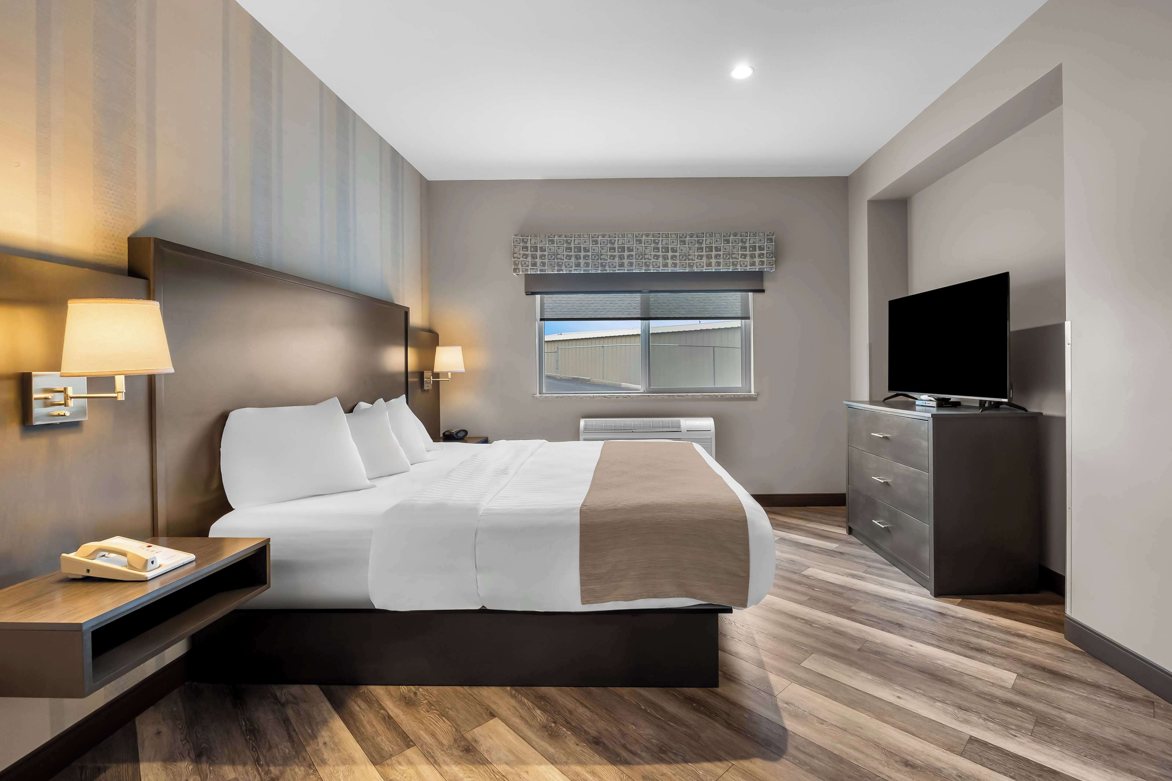 standard room, 1 king bed, non smoking, kitchenette (walk-in shower;with sofabed) | 1 bedroom, hypo-allergenic bedding, in-room safe, desk