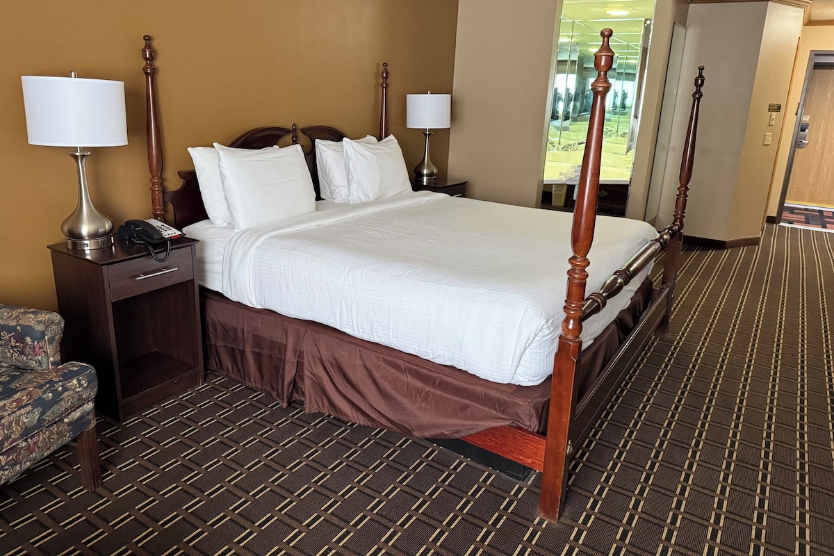 Standaard kamer, 1 kingsize bed, niet-roken, bubbelbad (Theme Room) | Een strijkplank/strijkijzer, wifi, beddengoed