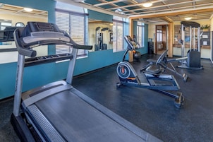 Un gimnasio con cintas de correr, elípticas y máquinas de pesas.
