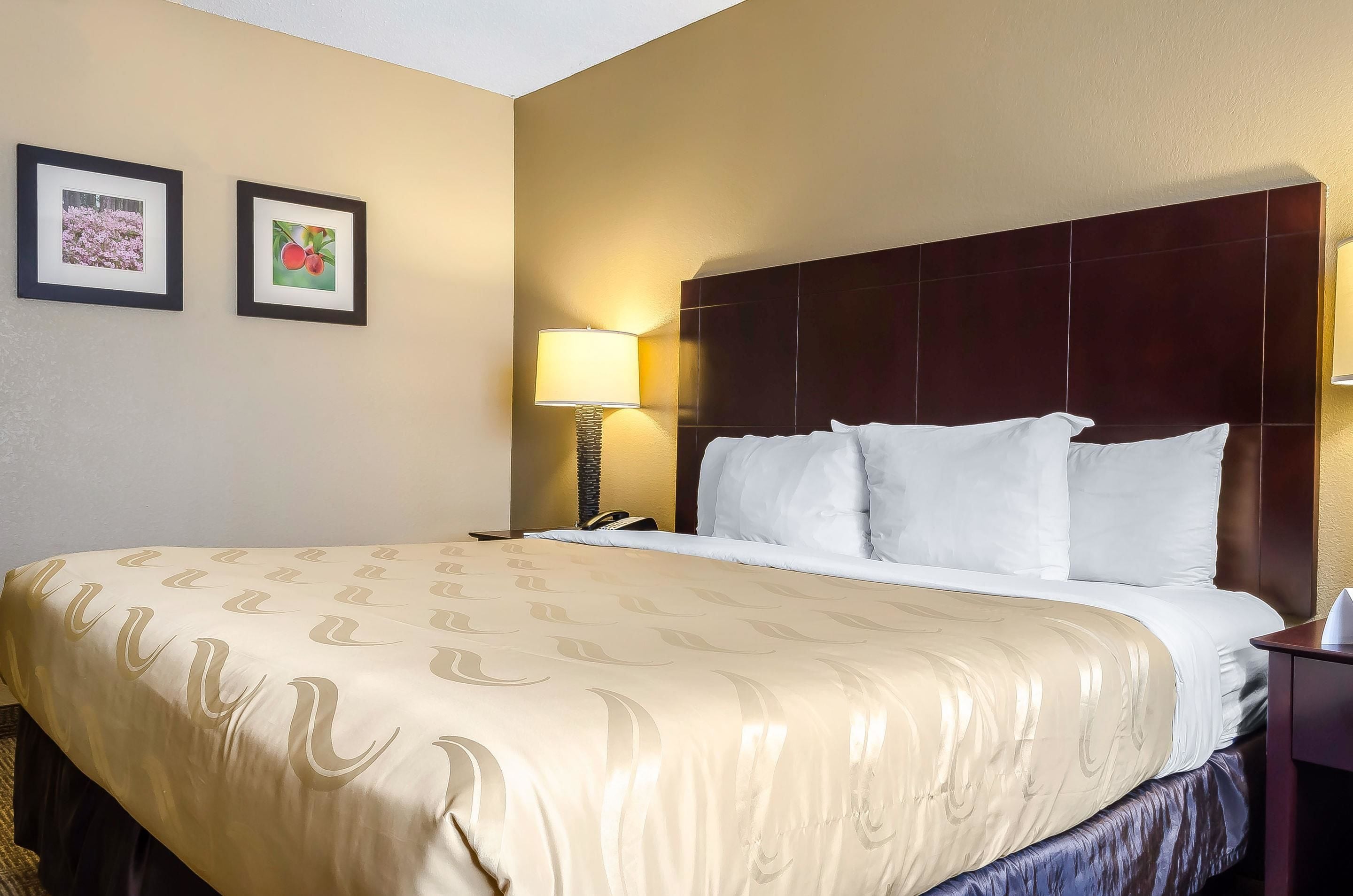 Habitación de hotel con una cama grande, una mesita de noche, una lámpara y dos cuadros en la pared.