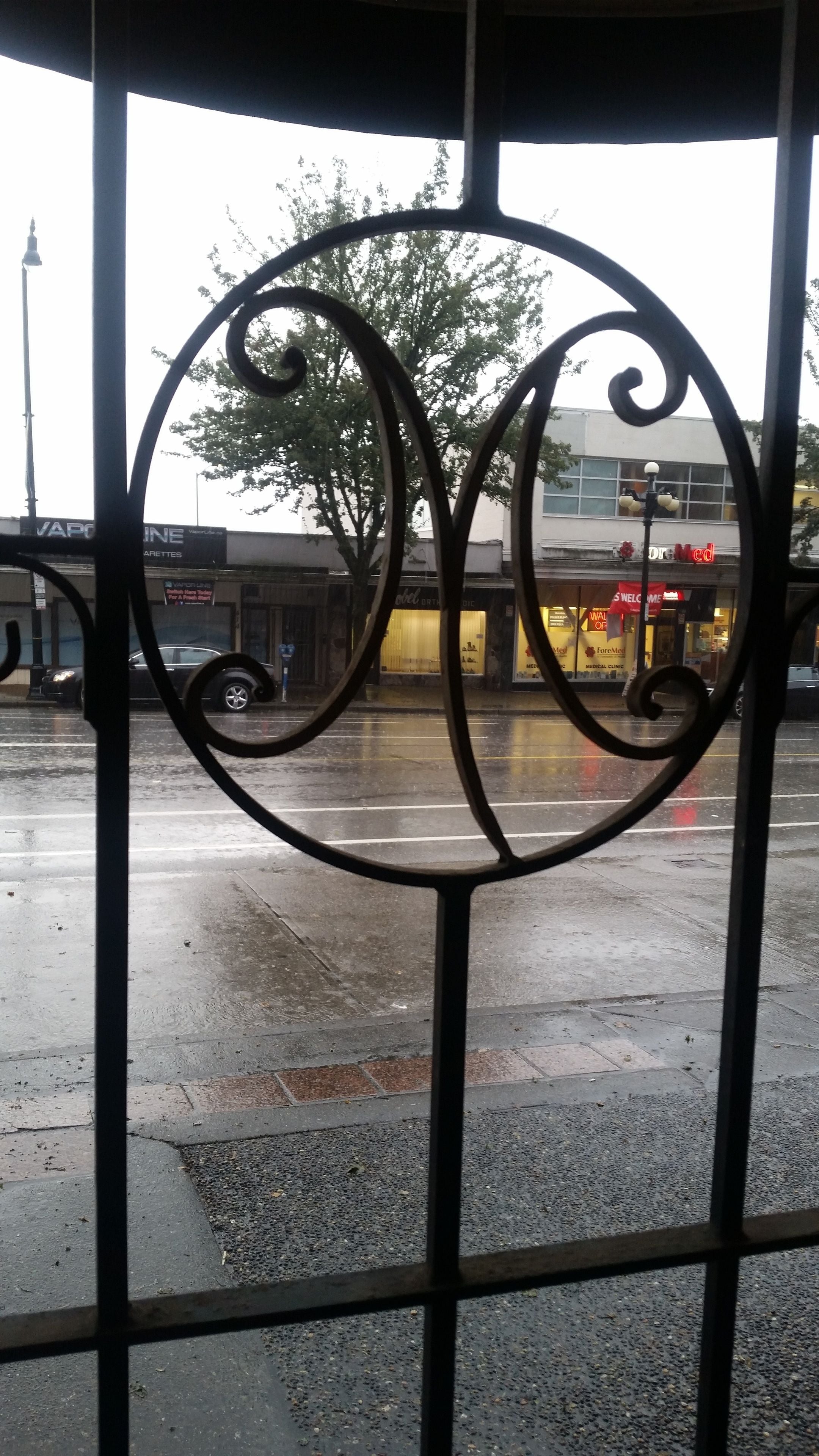 A metal gate with a decorative design, a wet street, and buildings in the background.