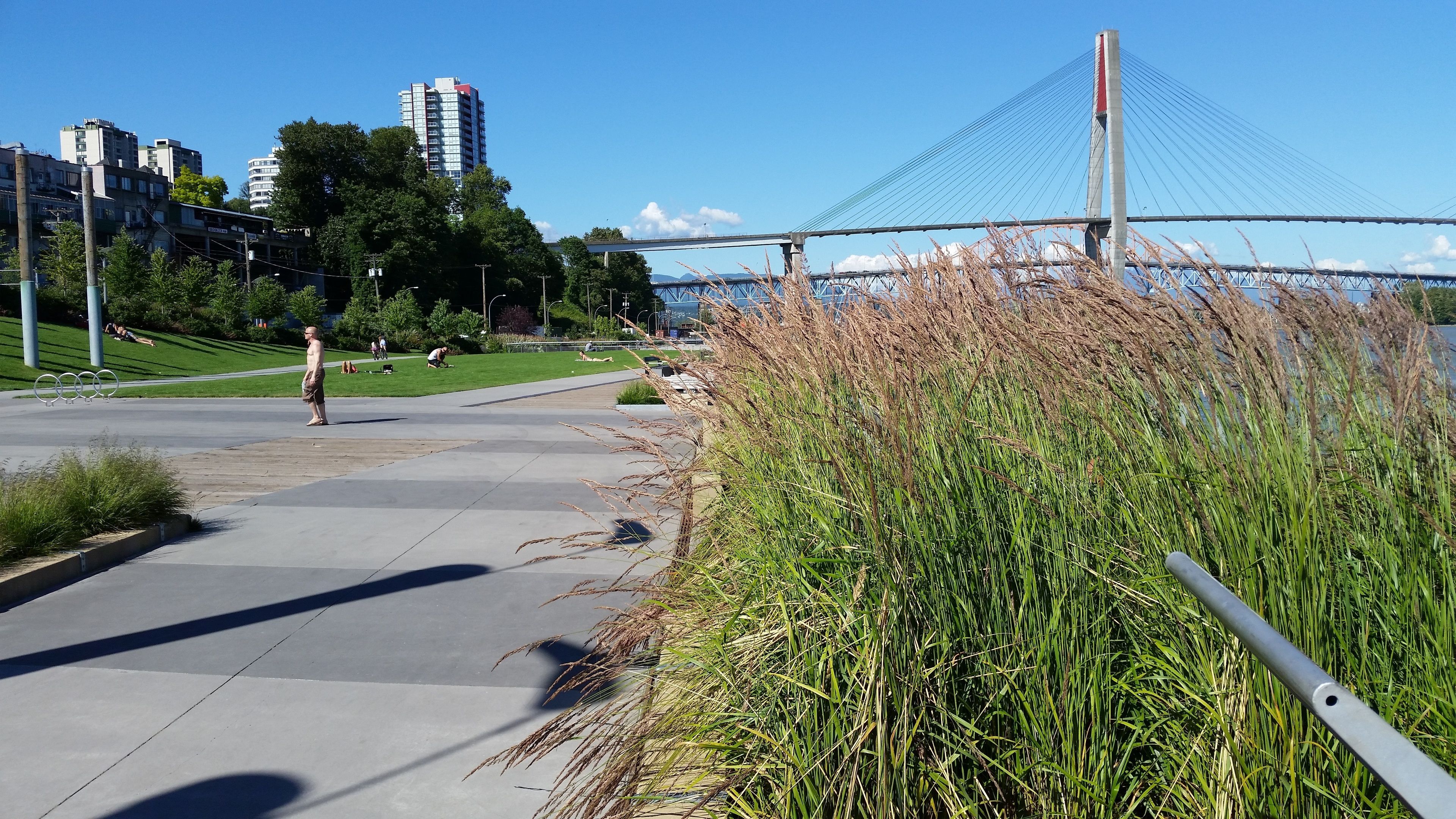 A pedestrian pathway with a grassy area and a bridge in the background.