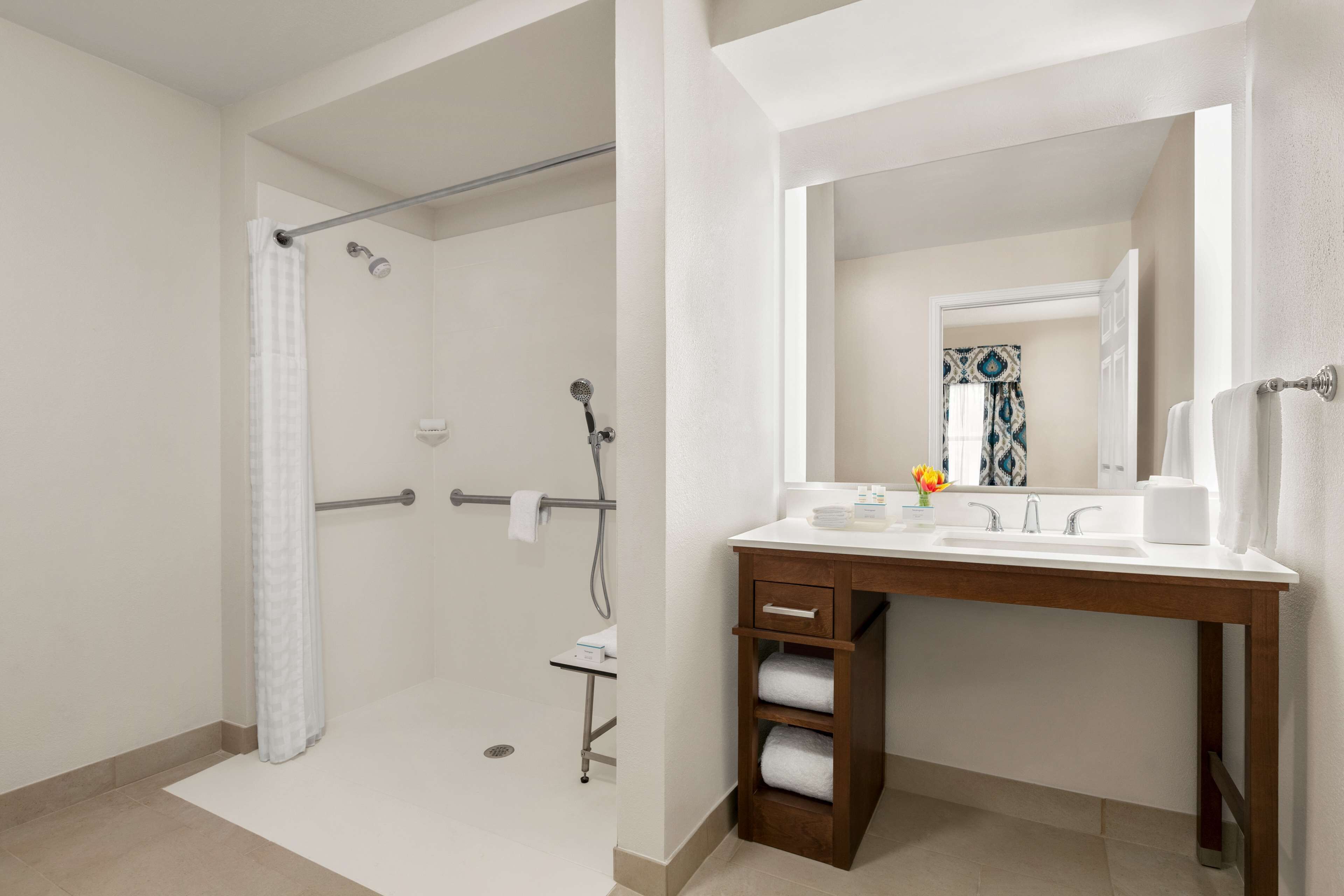 suite, accessible, non smoking | bathroom shower