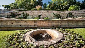 Una fuente de piedra circular con agua brotando del centro, rodeada de una zona verde con plantas pequeñas.