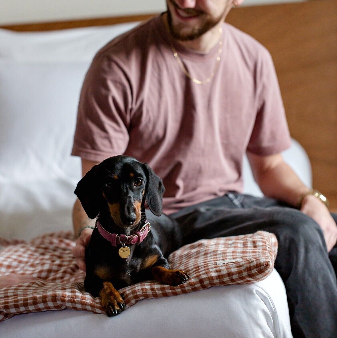 A person sitting on a bed with a checkered blanket, wearing a pink shirt and a gold watch, with a black and tan dog beside them.