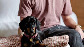 A person sitting on a bed with a checkered blanket, wearing a pink shirt and a gold watch, with a black and tan dog beside them.