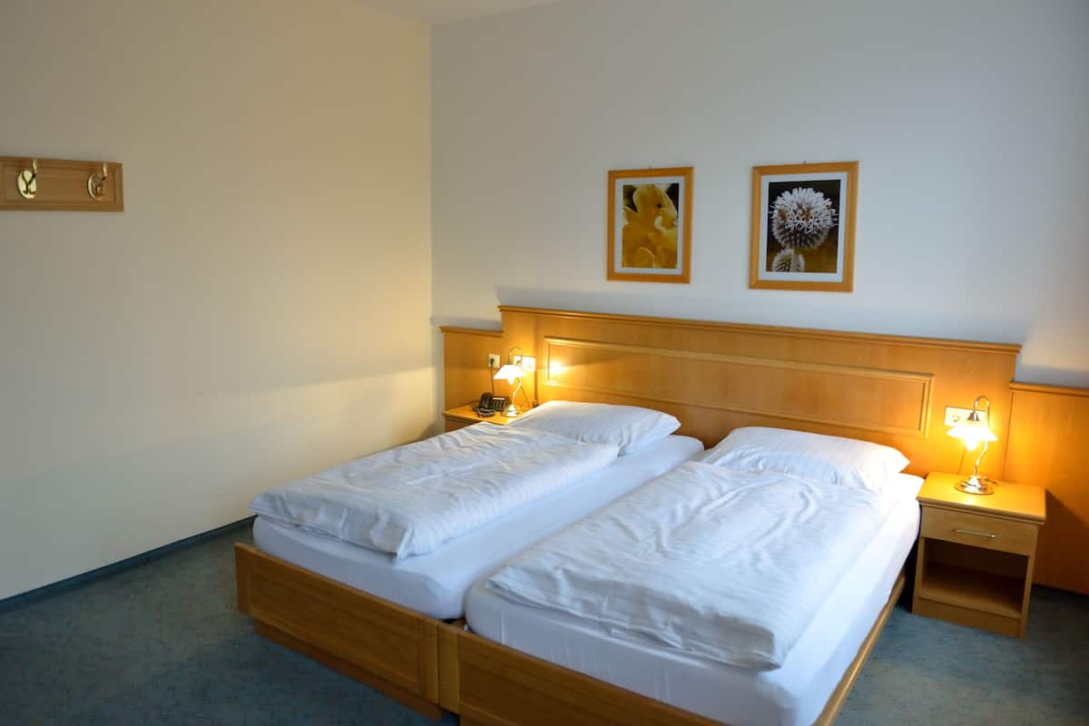 standard double room | 1 bedroom, hypo-allergenic bedding, in-room safe, desk