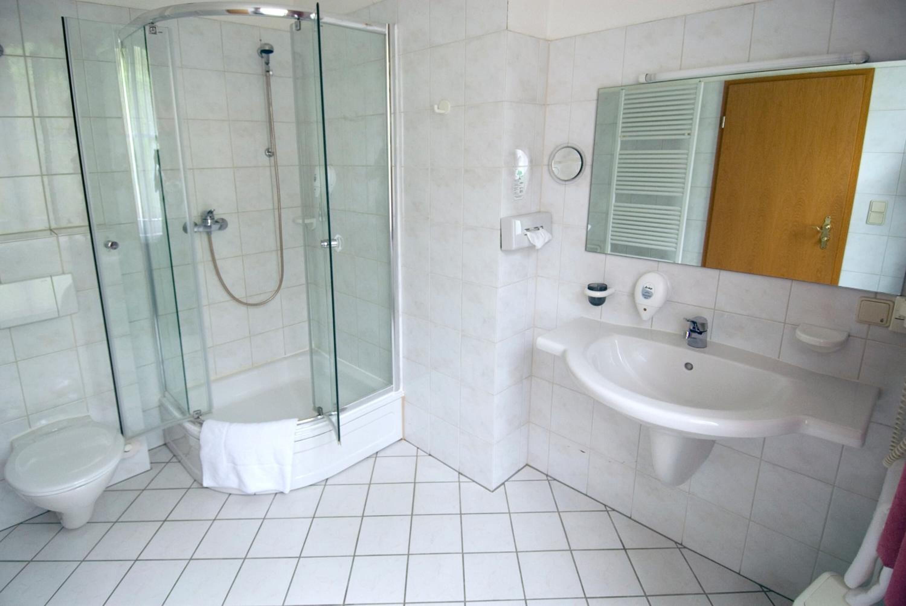 A modern bathroom with a glass-enclosed shower, a toilet, and a sink with a mirror above it.