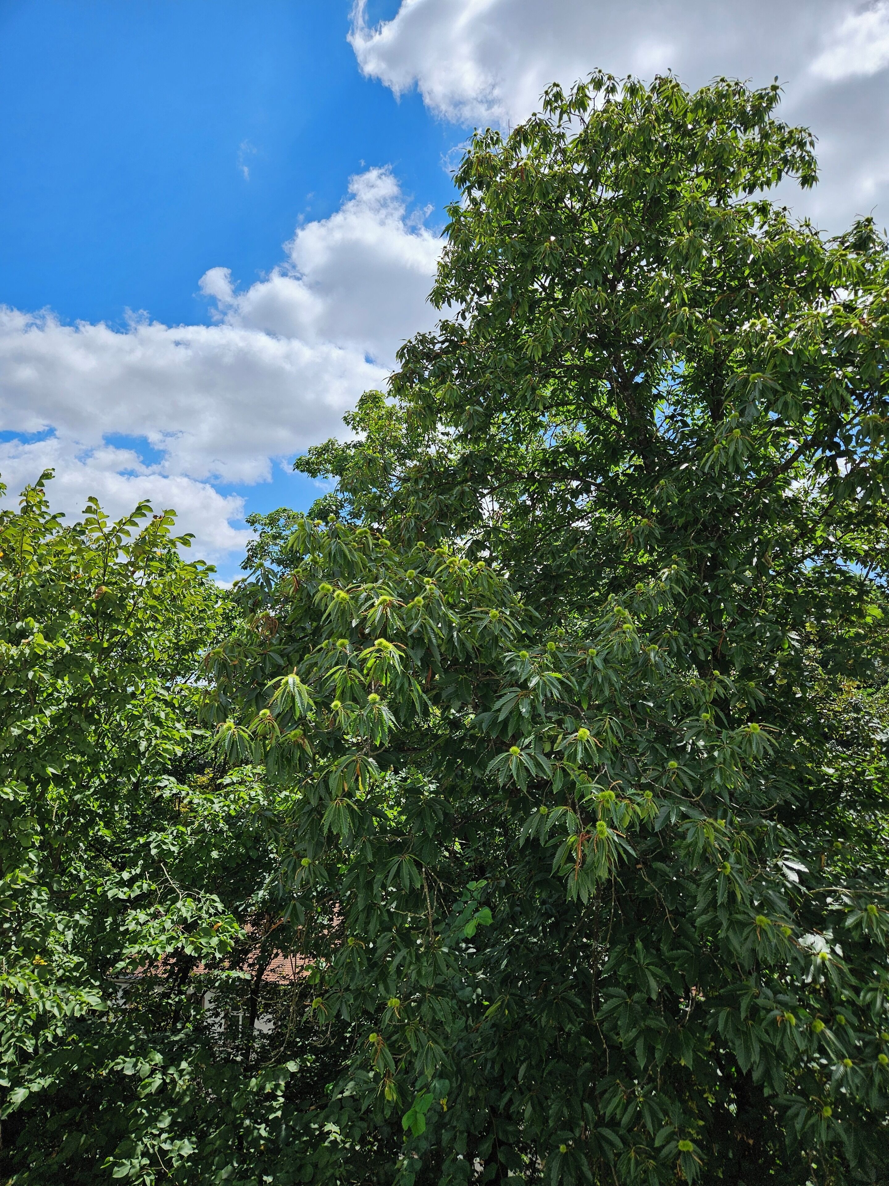 comfort double room | view from room