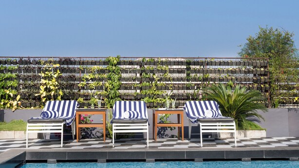 Une piscine avec des chaises longues et des parasols, une terrasse carrelée et un mur recouvert de plantes en pot.
