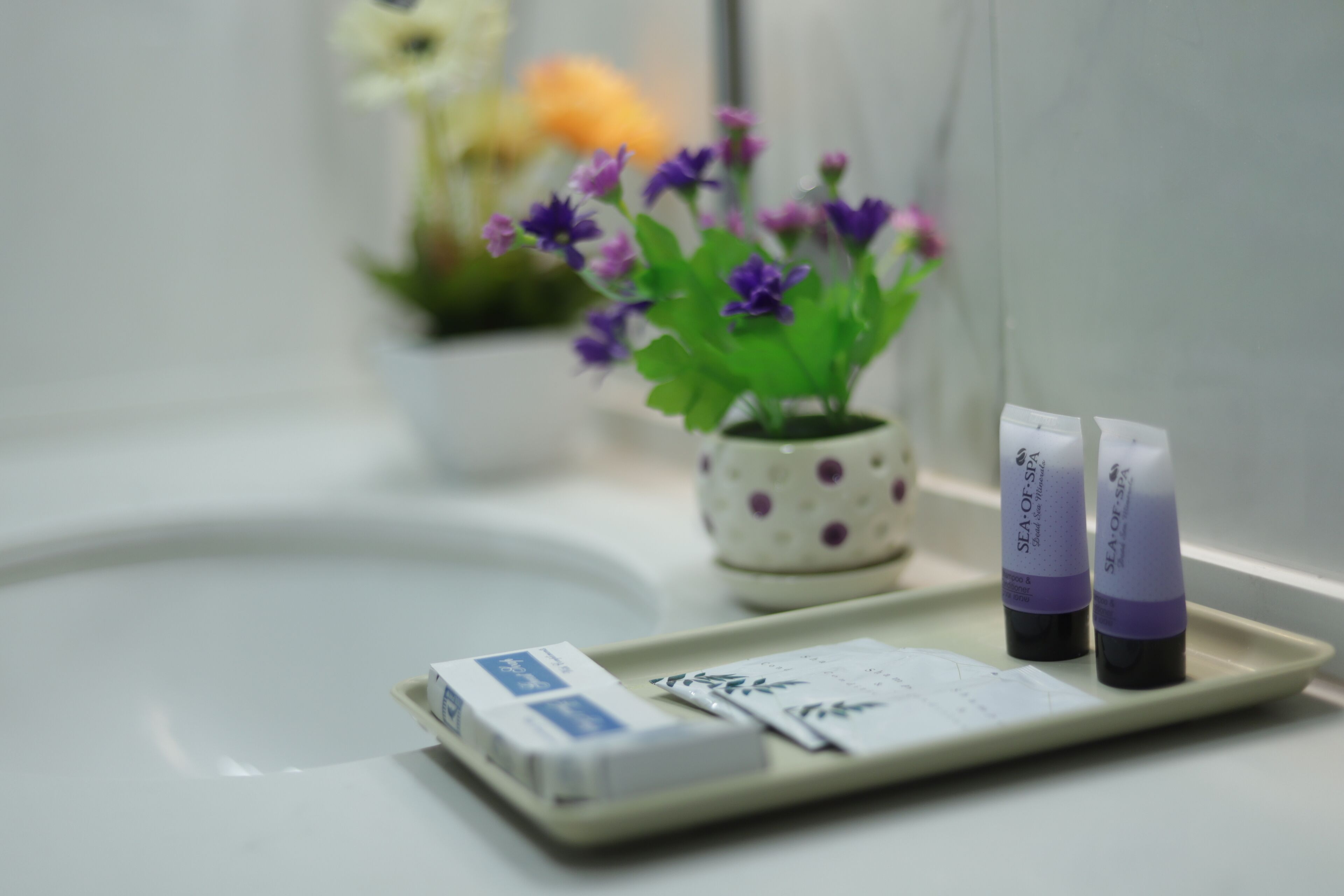 Foto - Mount of Olives Hotel