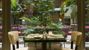 Un comedor con mesa de vidrio, sillas y una planta en maceta en el centro.