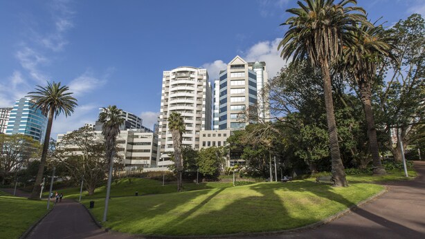 Un parque con un sendero, palmeras y edificios modernos al fondo.