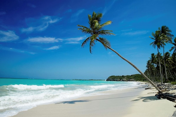 Plage à proximité