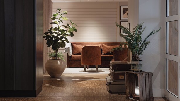 A modern living room with a brown sofa, a large potted plant, and a vintage suitcase on a wooden table.