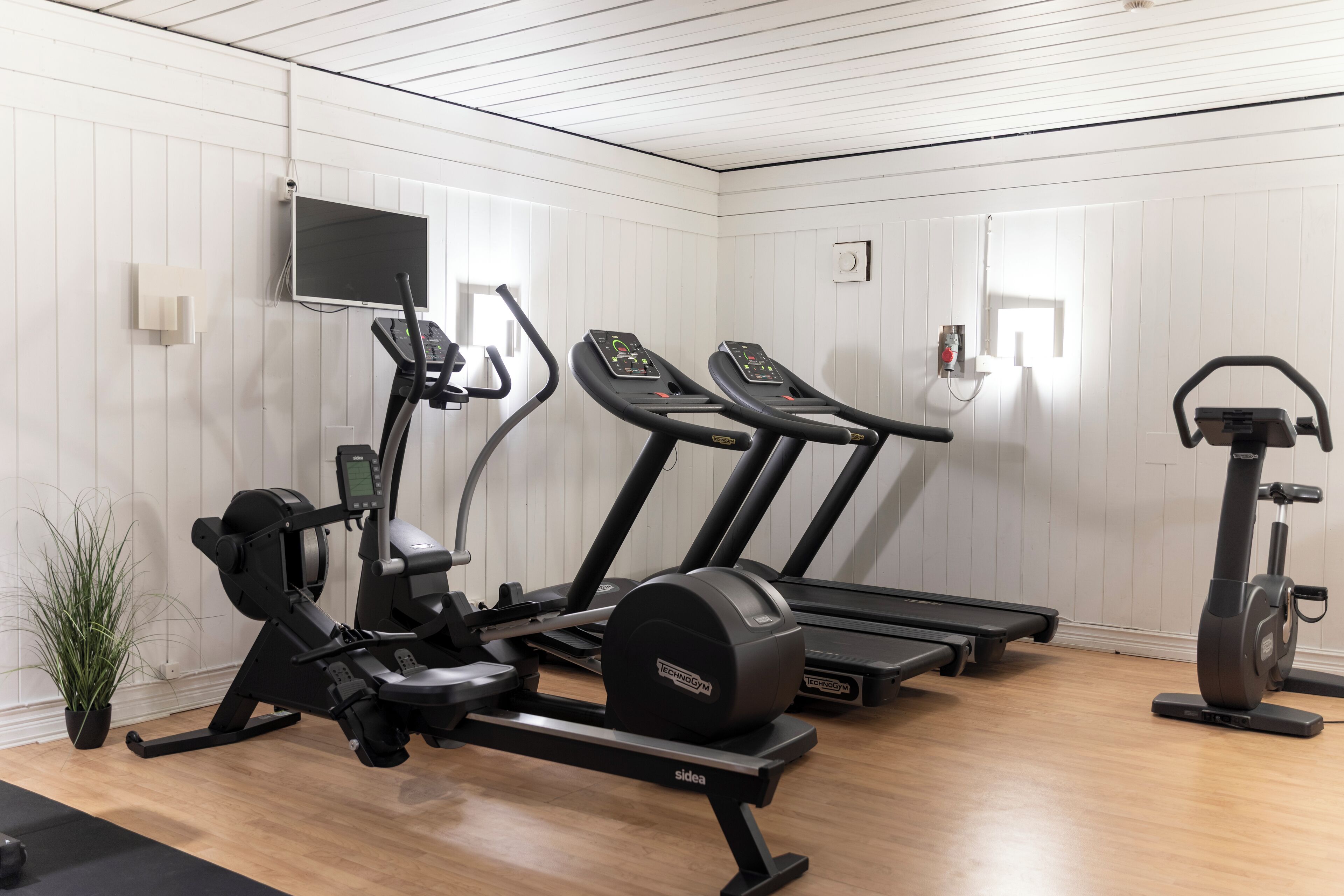 Ett gym med konditionsmaskiner, en tv och en liten växt.