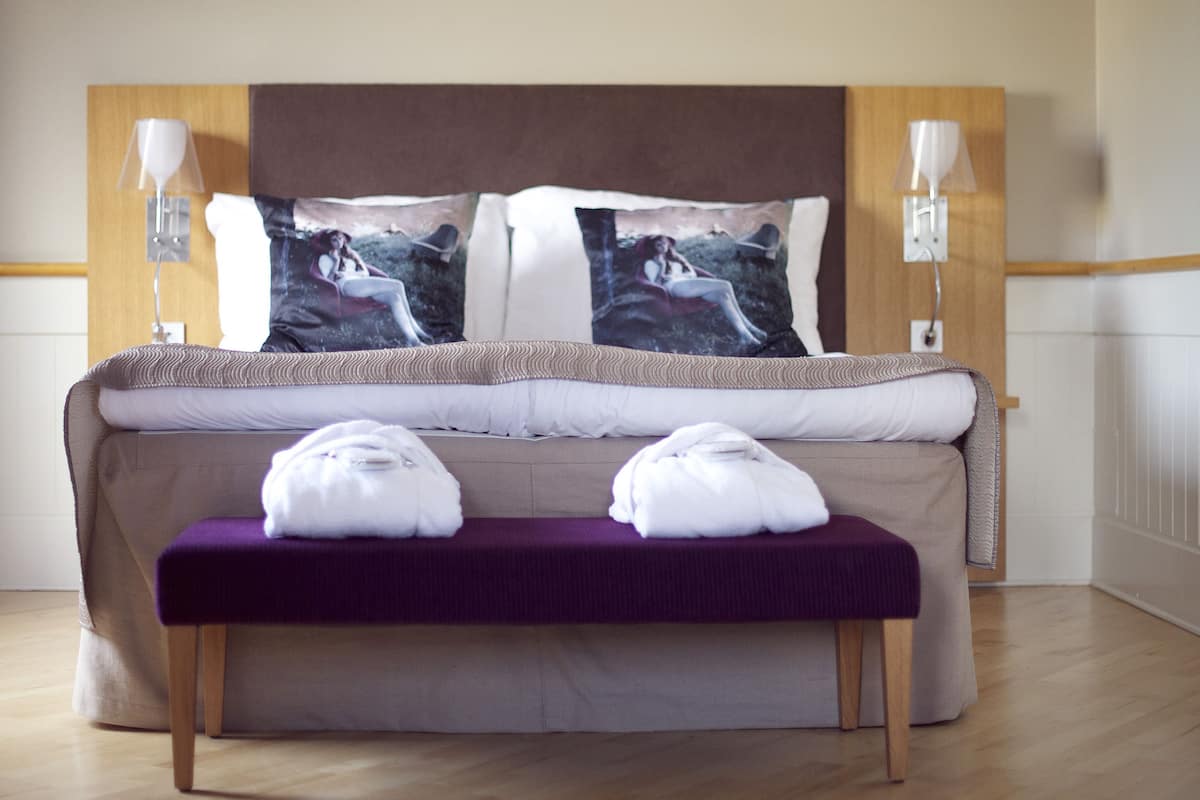 deluxe double room, 1 double bed with sofa bed, non smoking | desk, iron/ironing board, cots/infant beds, wifi