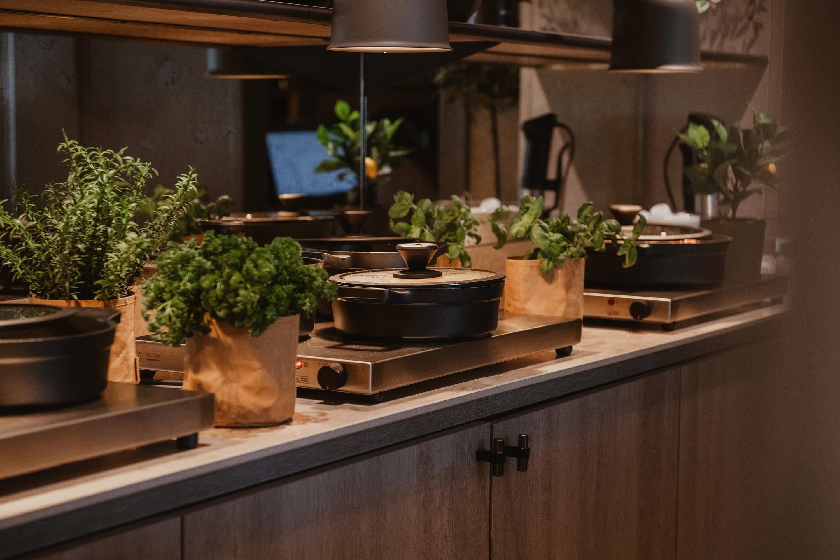 A kitchen with a modern design, featuring a countertop with potted plants, a slow cooker, and a stove.