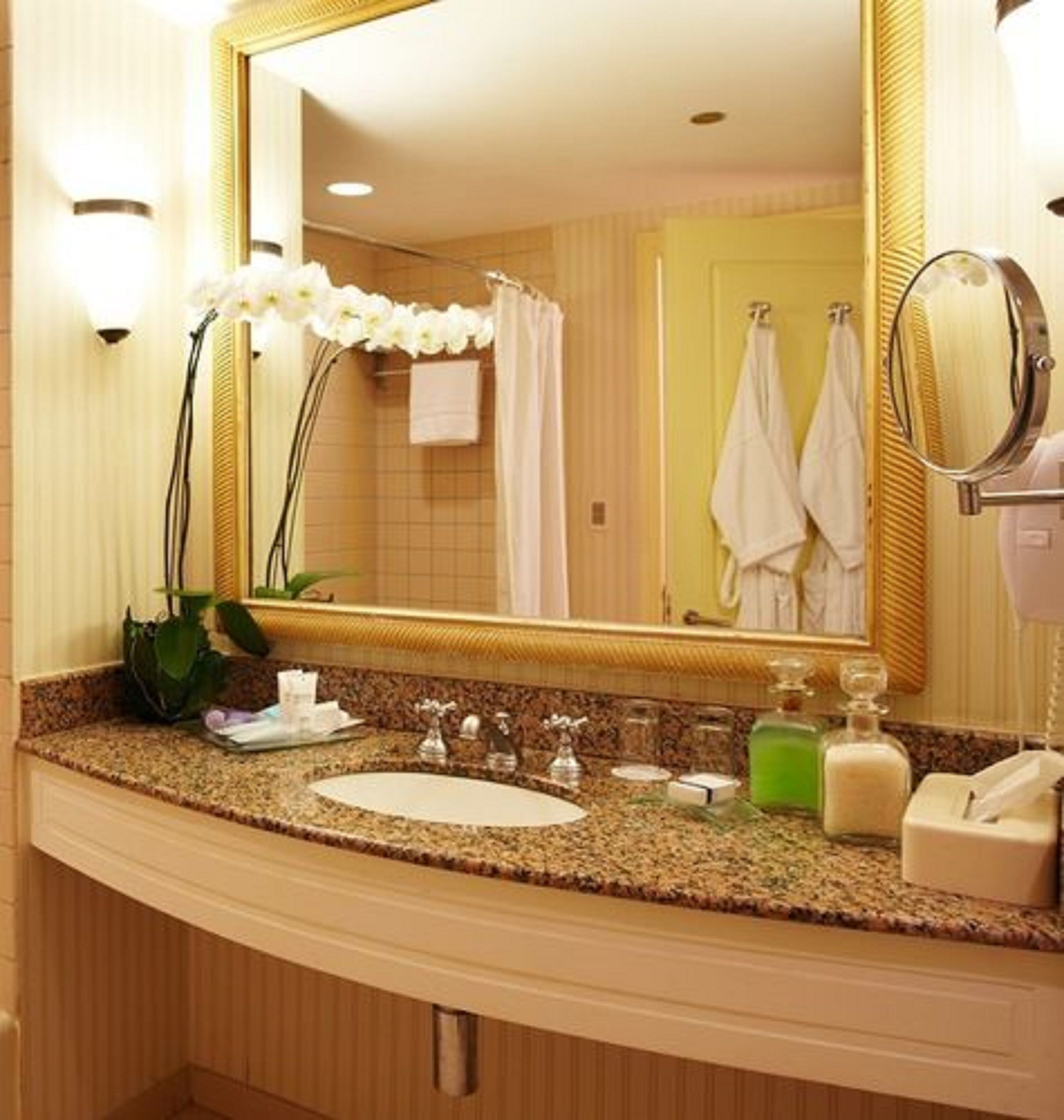 A bathroom with a granite countertop, a sink, a mirror, and a potted orchid.