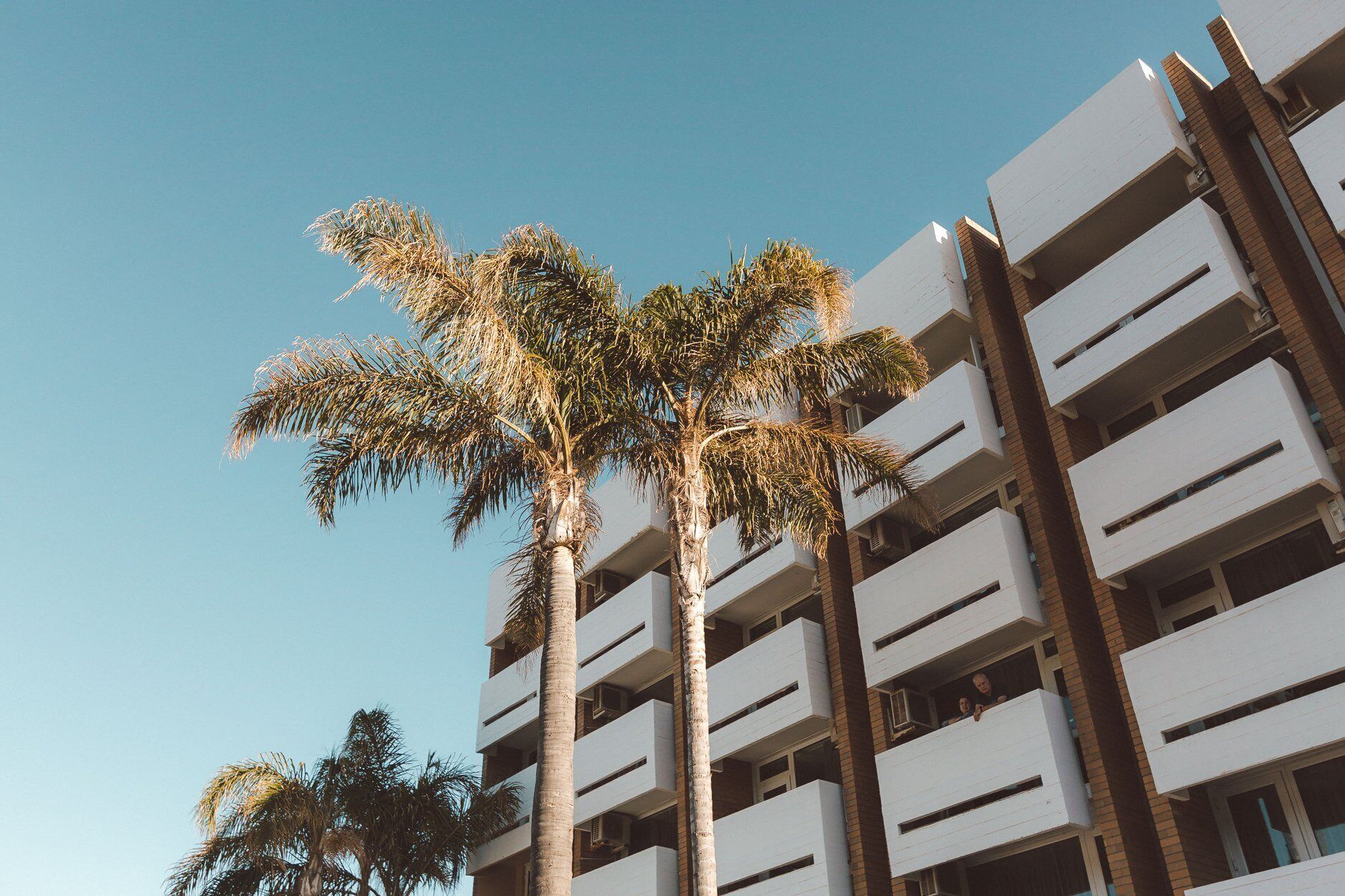 Foto - Indian Ocean Hotel