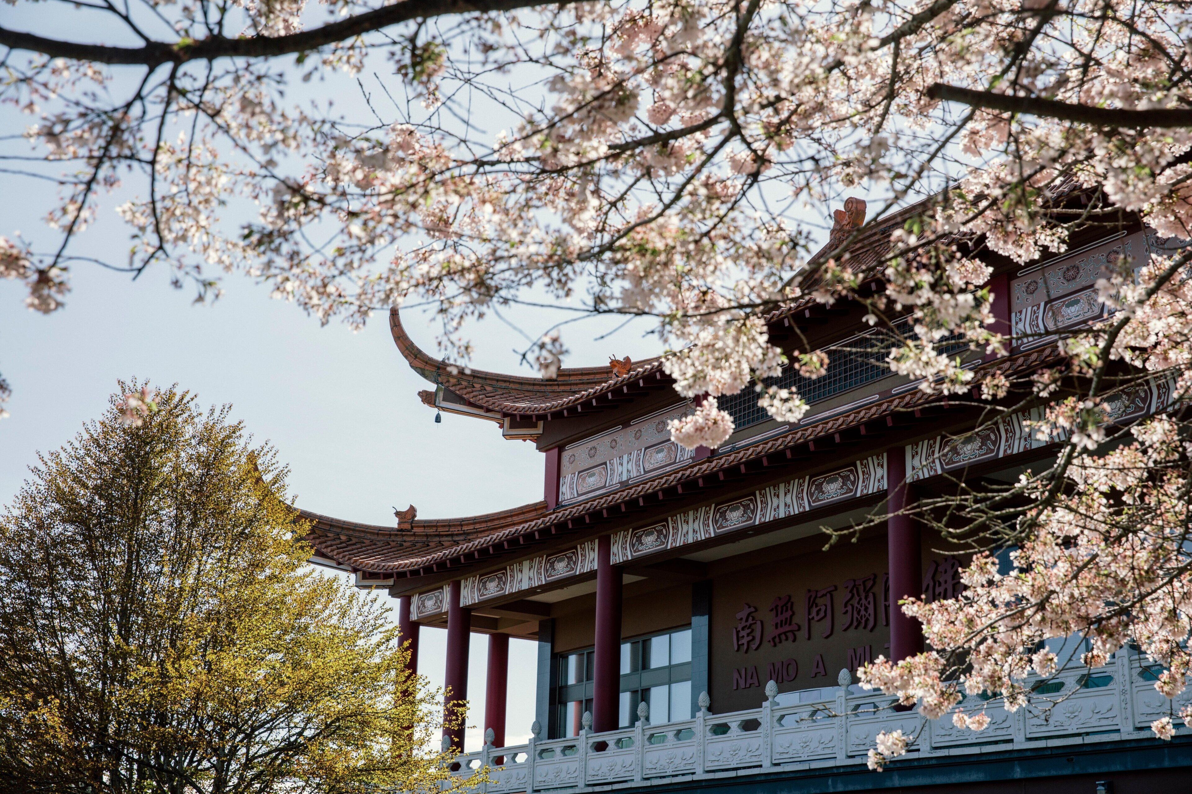 Foto - Holiday Inn Vancouver Airport Richmond by IHG