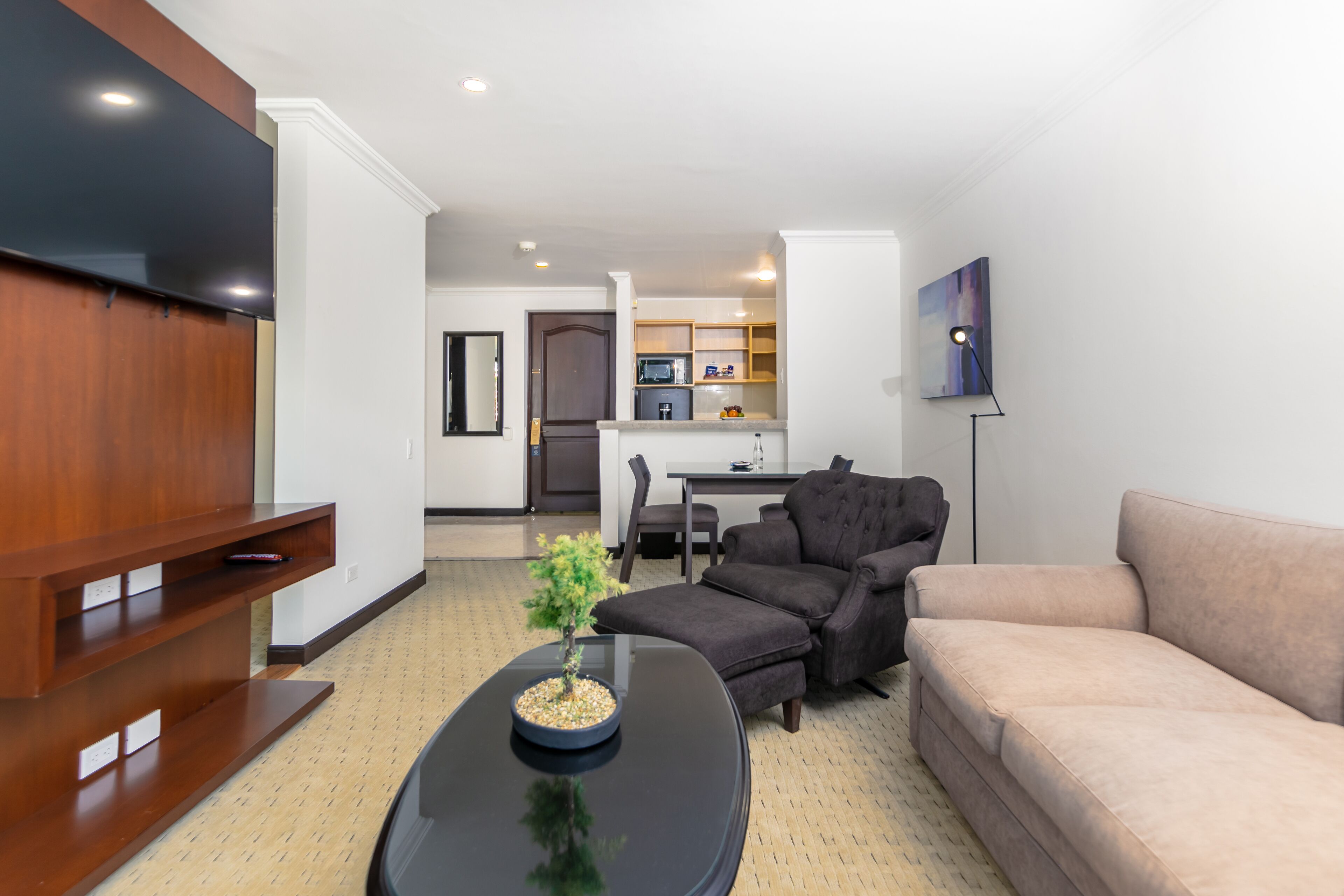 executive studio suite, 1 king bed, kitchen | living area | 50-inch lcd tv with cable channels, tv, fireplace