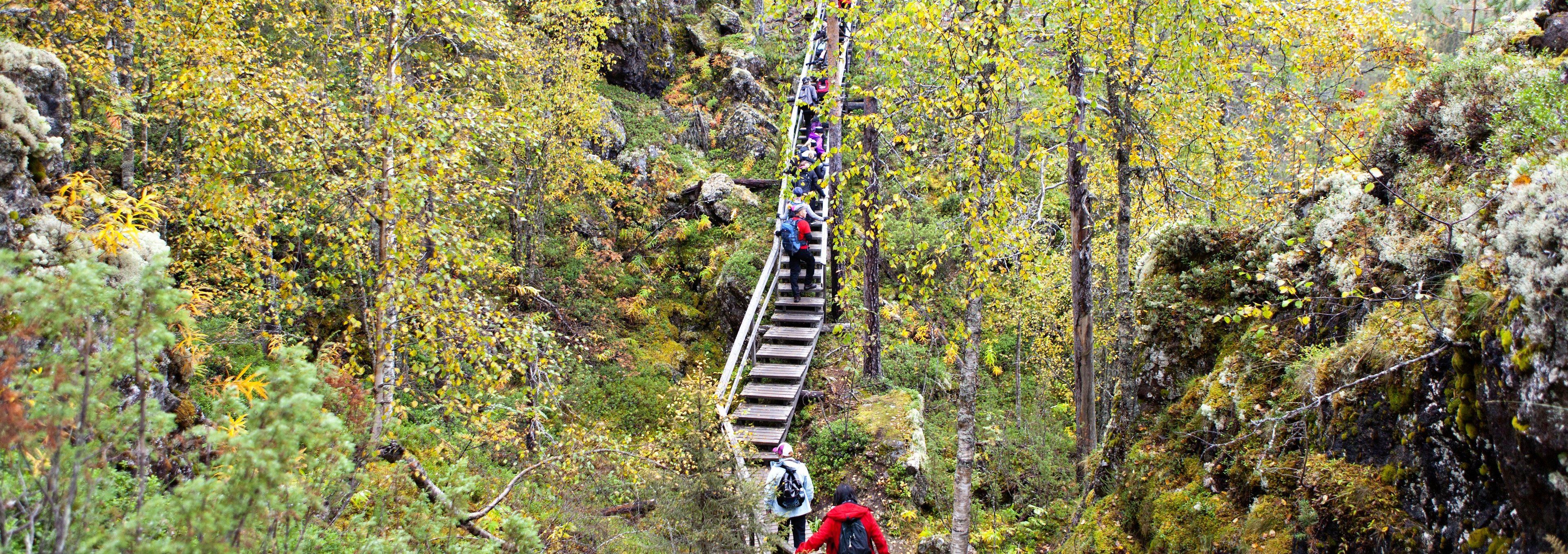 Eine Holztreppe in bewaldetem Gebiet, Wanderer sind unterwegs.