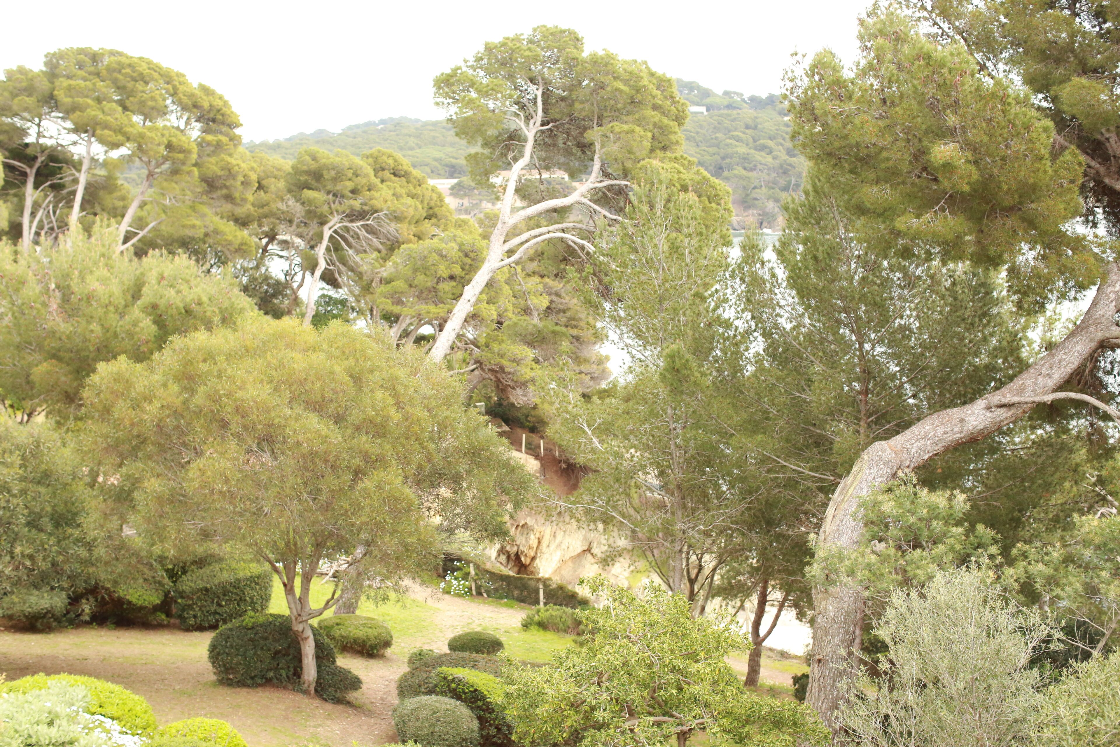 Jardín