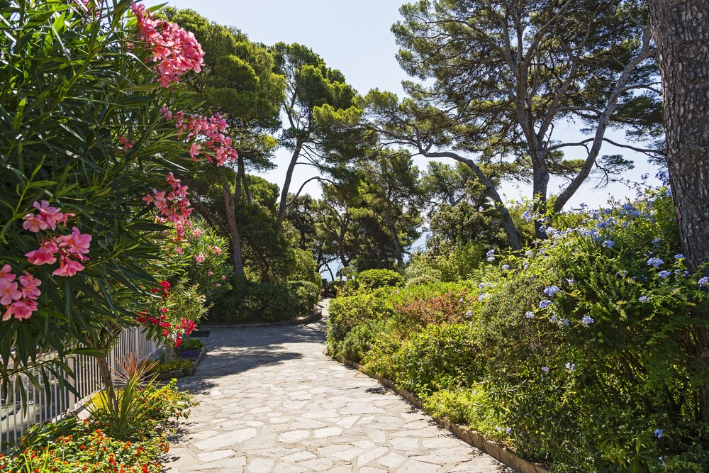 La Résidence du Provençal · 23 appartements et 2 Restaurants · Var by null