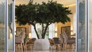 Dinner served, French cuisine, garden views 