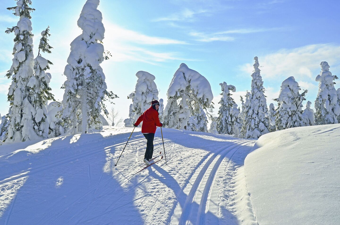 Photo - Hotel Königshof