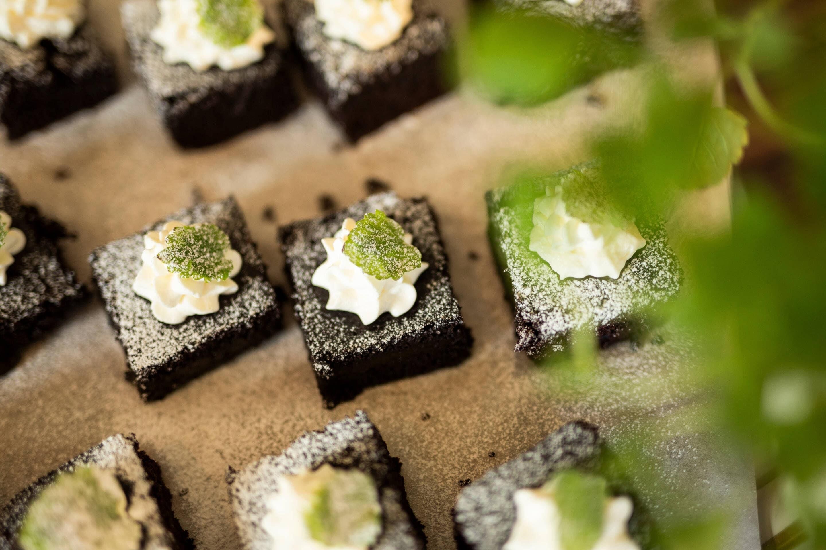 A tray of square-shaped desserts with a dollop of cream and a green garnish on top.