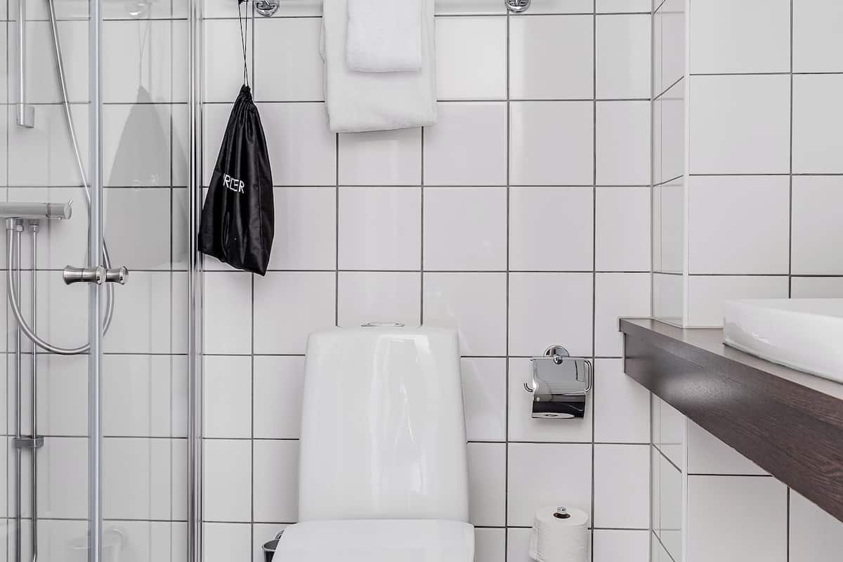 single room (compact) | bathroom | shower, hair dryer, towels