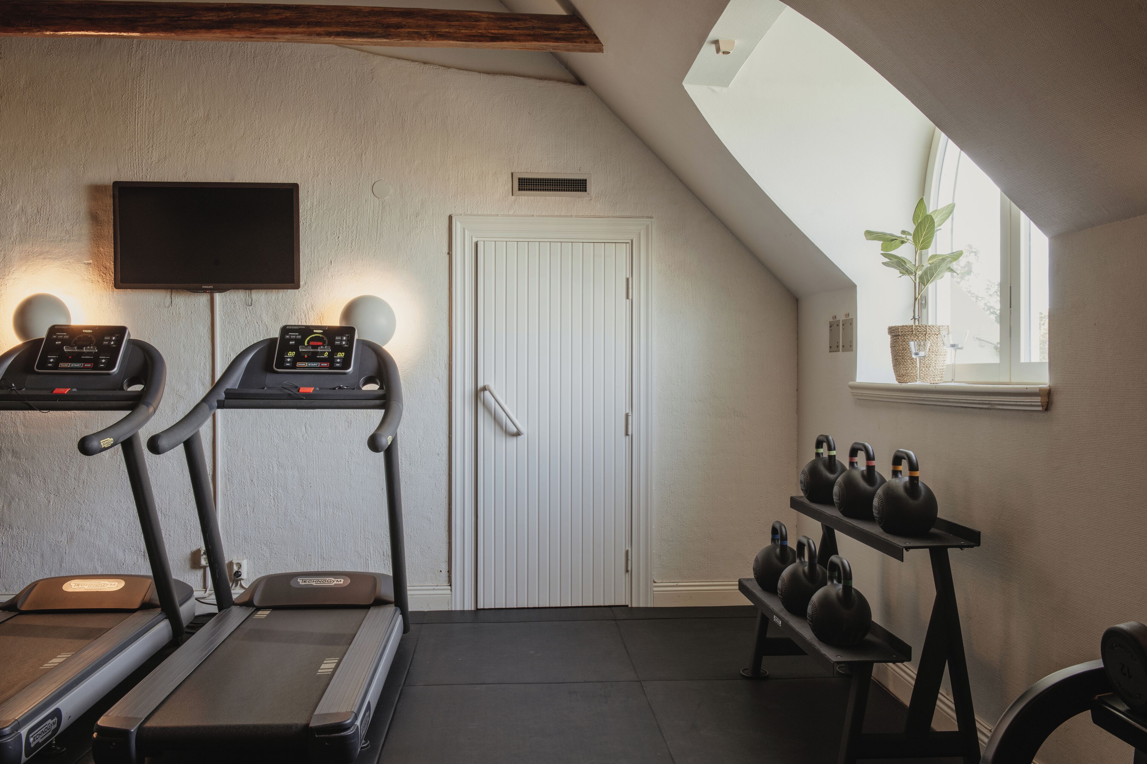 Un gimnasio en casa con cintas de correr, una bicicleta estática y pesas de cañón.