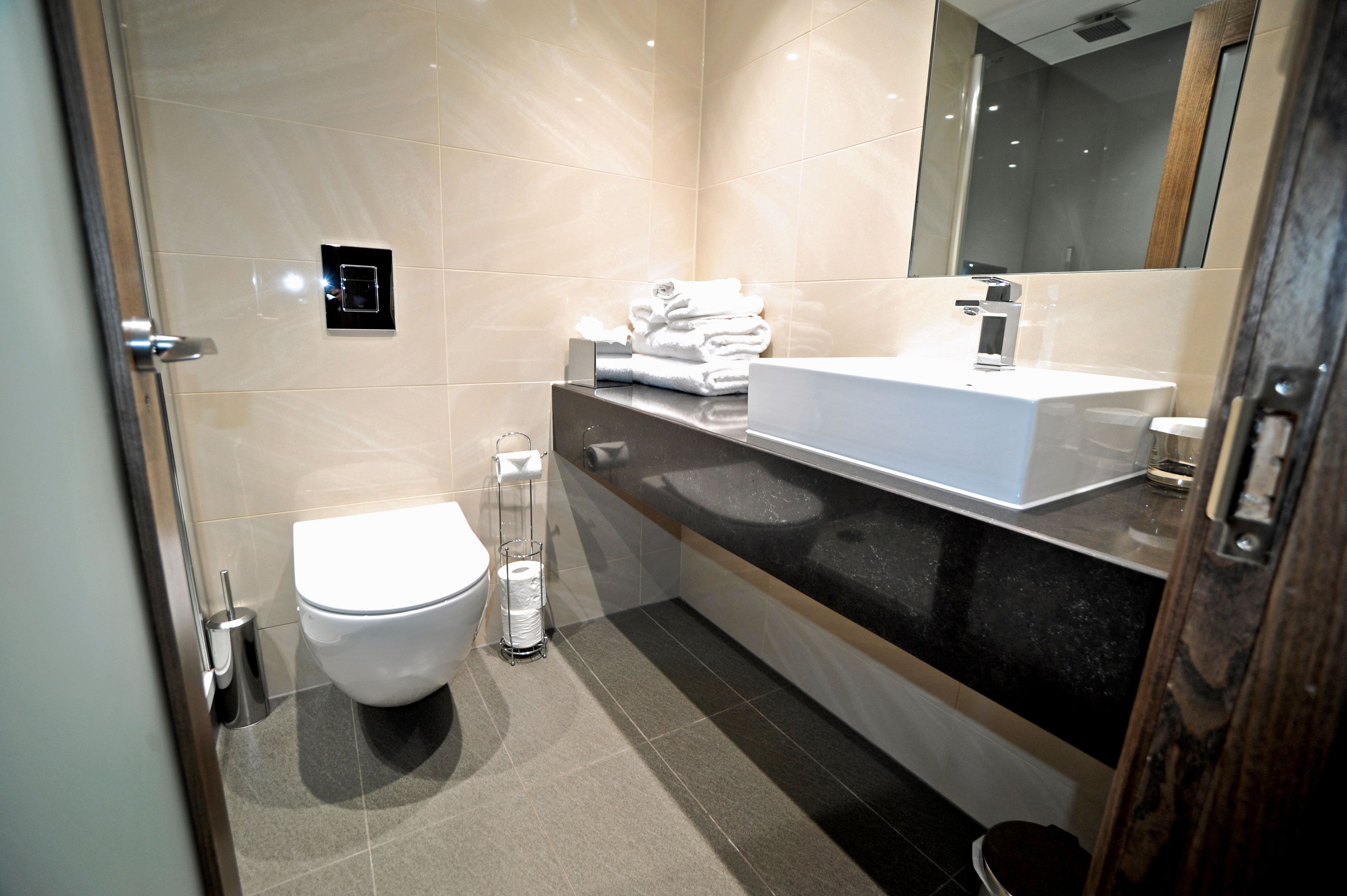executive room, 2 single beds, non smoking | bathroom | shower, rainfall showerhead, free toiletries, hair dryer