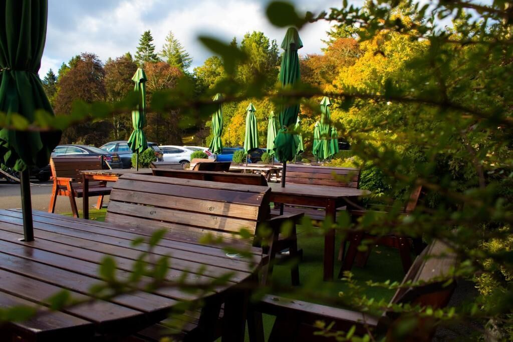 Outdoor wooden tables and chairs, green umbrellas, and cars parked in a parking lot.