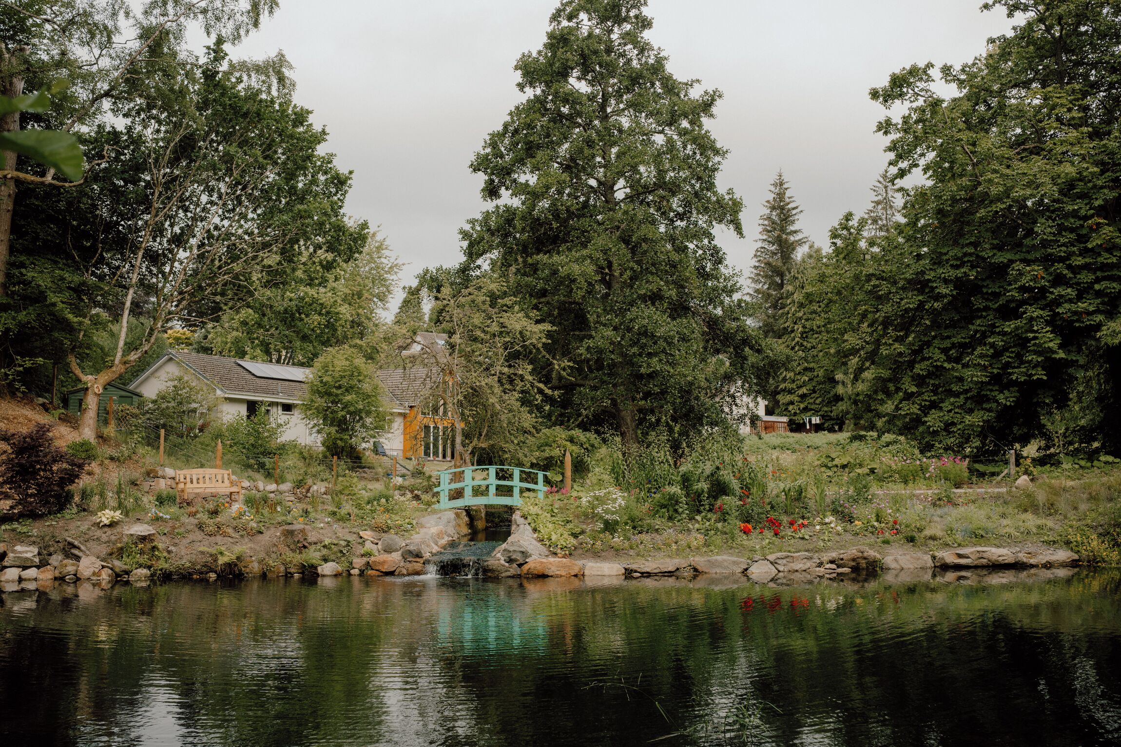 A tranquil garden with a pond, a wooden bench, and a small bridge.