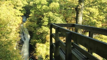 A wooden bridge with a view of a waterfall and dense forest.