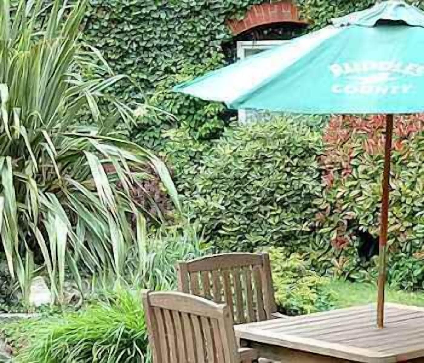 breakfast, lunch, dinner served; modern european cuisine