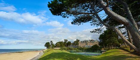 A coastal landscape with a beach, a large tree, and a building in the background.