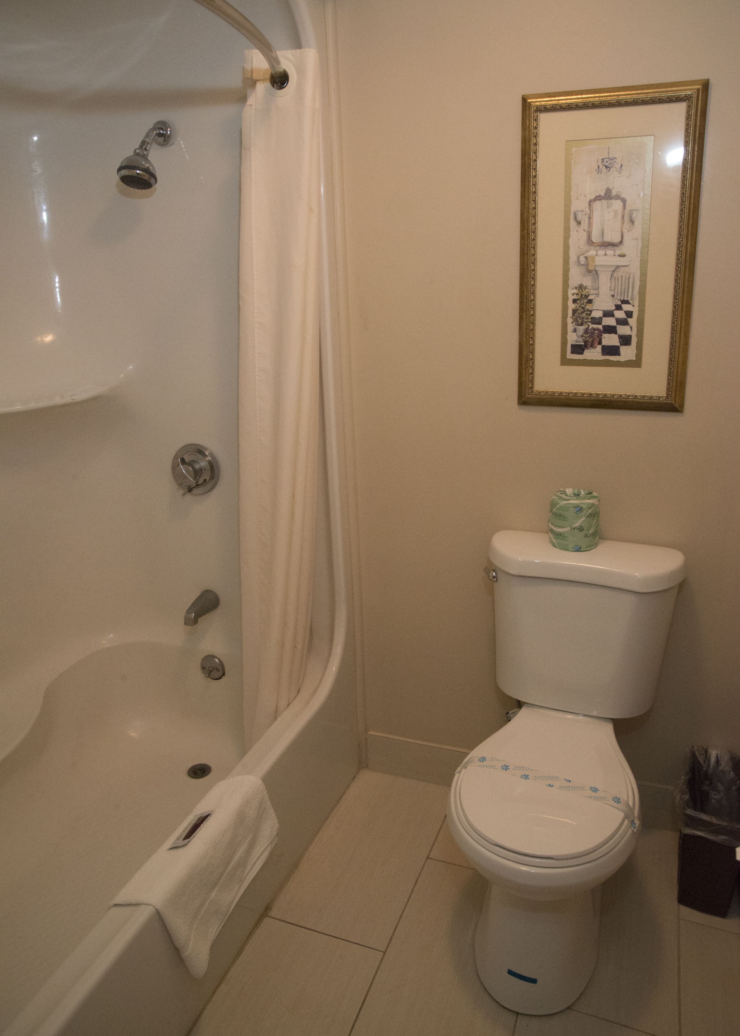 A bathroom with a bathtub, toilet, and a framed picture on the wall.