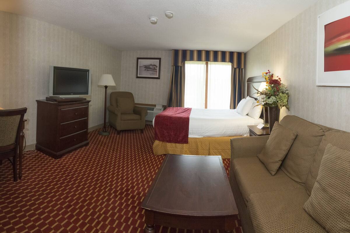 Une chambre d’hôtel équipée d’un lit, d’une télévision, d’un bureau, d’une chaise, d’un canapé et d’une moquette à motifs.