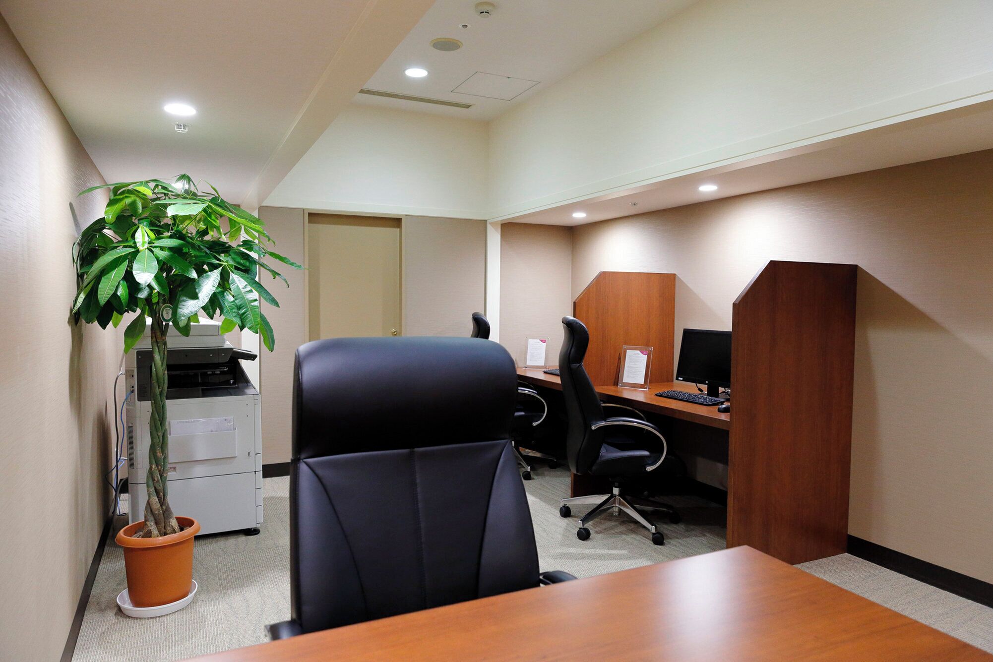 An office with a desk, chairs, a computer, and a potted plant.