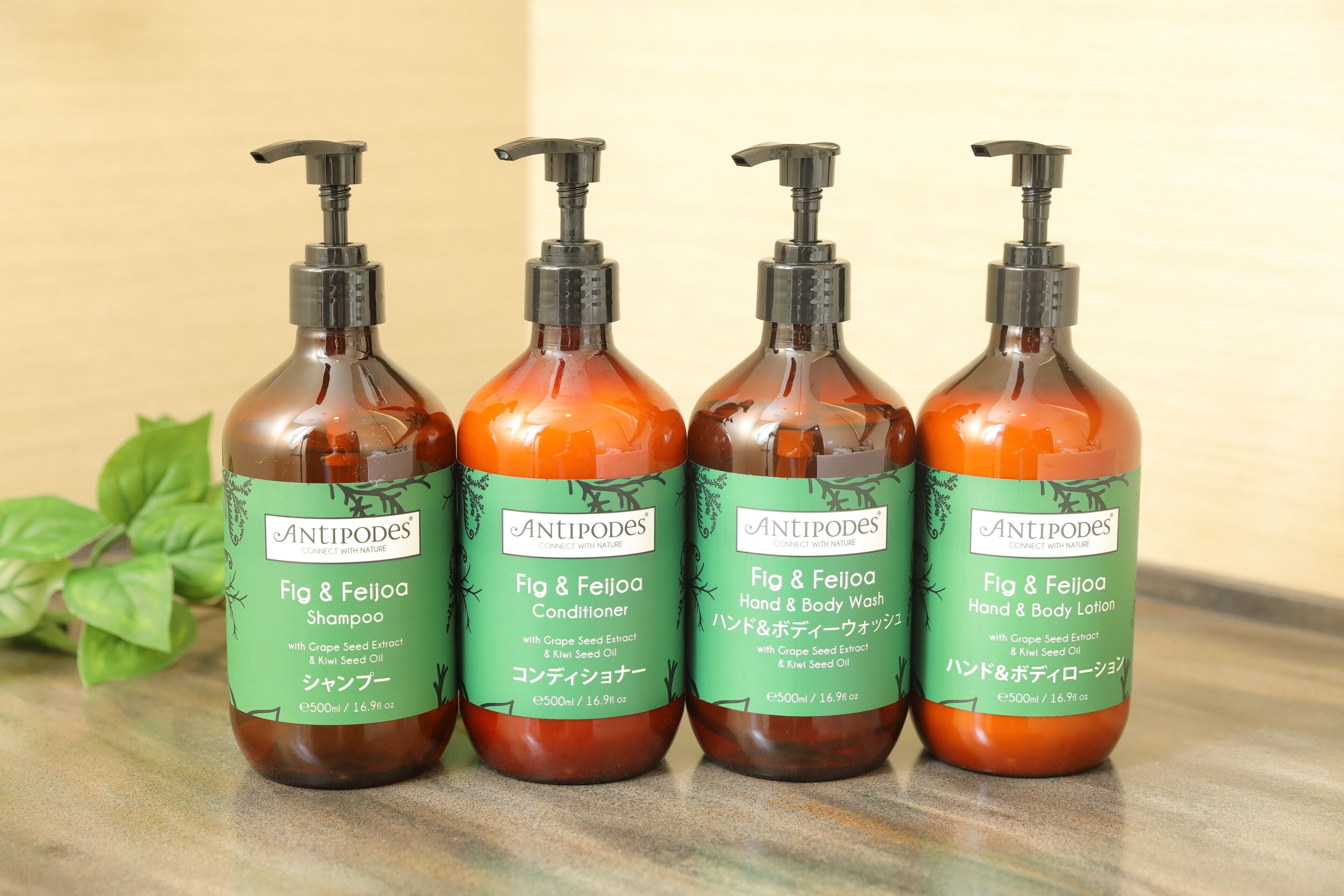 free toiletries, hair dryer, bathrobes, slippers